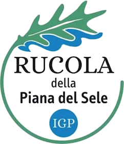 Rucola della Piana del Sele IGP