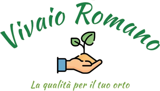 Vivaio Romano